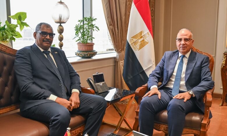 وزير-الري:-حريصون-على-التعاون-مع-السودان-خاصة-بمجال-المياه