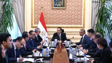 رئيس-الوزراء-يؤكد-اهتمام-الحكومة-بتوطين-صناعة-مكونات-محطات-الطاقة-الشمسية-بمصر