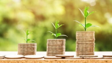 أرباح-“الدولية-للمحاصيل”-السنوية-تتراجع-10%-إلى-469-مليون-جنيه