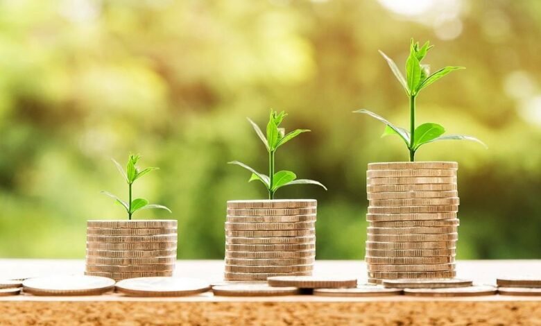 أرباح-“الدولية-للمحاصيل”-السنوية-تتراجع-10%-إلى-469-مليون-جنيه