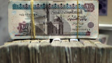 الجنيه-المصرى-يتجاوز-الريال-البرازيلى-فى-نشاط-صندوق-«أرتيزان»-الأيرلندى