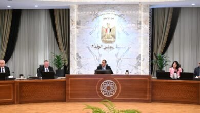 مصر-وروسيا-تبحثان-عدداً-من-ملفات-التعاون