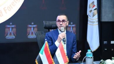 الخطيب:-10-مليارات-دولار-استثمارات-أجنبية-مباشرة-جذبتها-مصر