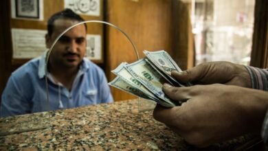 19.4-مليار-دولار-زيادة-في-تحويلات-المصريين-بالخارج-خلال-10-سنوات