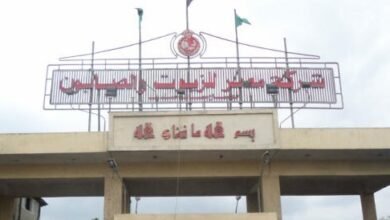 أرباح-“مصر-للزيوت”-السنوية-تقفز-إلى-57.1-مليون-جنيه