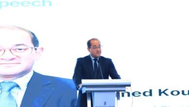 وزير-المالية:-الاستثمارات-المباشرة-الكورية-في-مصر-تتجاوز-6-مليارات-دولار