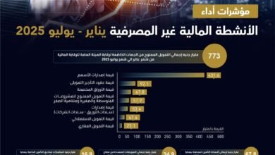 773-مليار-جنيه-تمويلات-القطاع-المالي-غير-المصرفي-خلال-7-أشهر