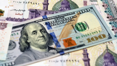 استقرار-سعر-الدولار-أمام-الجنيه-في-تعاملات-الجمعة