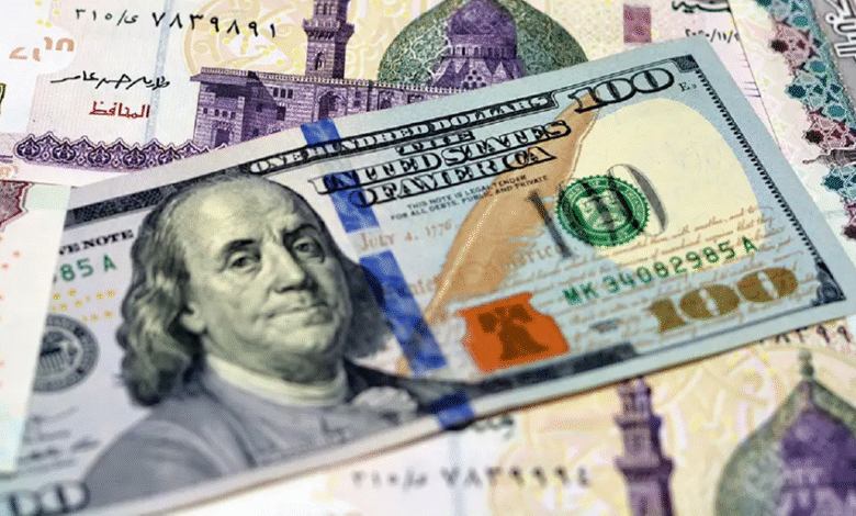 استقرار-سعر-الدولار-أمام-الجنيه-في-تعاملات-الجمعة