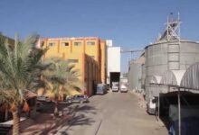 عمومية-“مطاحن-الإسكندرية”-تُقر-توزيع-75-قرشًا-للسهم