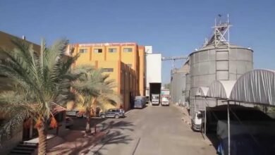 عمومية-“مطاحن-الإسكندرية”-تُقر-توزيع-75-قرشًا-للسهم