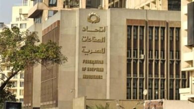 بدء-فرز-الأصوات-فى-انتخابات-غرفة-صناعة-الحبوب