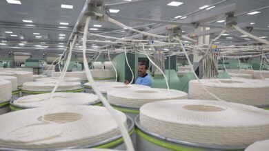 90-مليار-جنيه-تمويلات-ضمن-مبادرة-دعم-الأنشطة-الإنتاجية-بفائدة-15%