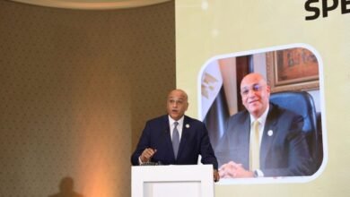 “تنمية-المشروعات”:-18-مليار-جنيه-تمويلات-لمشروعات-المرأة-منذ-2014