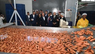 افتتاح-مصنع-“أجرو-جرين”-في-“جمصة”-باستثمارات-300-مليون-جنيه