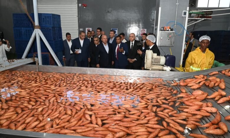 افتتاح-مصنع-“أجرو-جرين”-في-“جمصة”-باستثمارات-300-مليون-جنيه