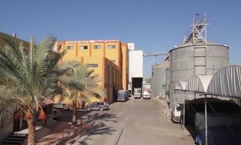 “مطاحن-غرب-الدلتا”-تربح-109.6-مليون-جنيه-في-الربع-الأول