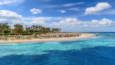 الحكومة-تمد-فترة-تلقي-طلبات-مبادرة-دعم-القطاع-السياحي-6-أشهر