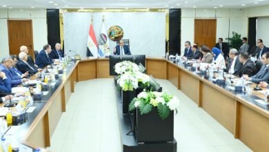 «القابضة-الكيماوية»-ترفع-إيراداتها-إلى-19-مليار-جنيه-خلال-2024-2025