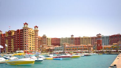 “عامر-جروب”:-تخصيص-قطعة-أرض-لشركة-تابعة-في-العلمين-الجديدة