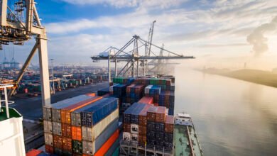 الحكومة-تستعرض-المرحلة-الأولى-من-منصة-التجارة-الخارجية