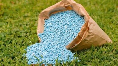 3-شركات-أسمدة-برازيلية-تدرس-ضخ-استثمارات-جديدة-في-السوق-المصري