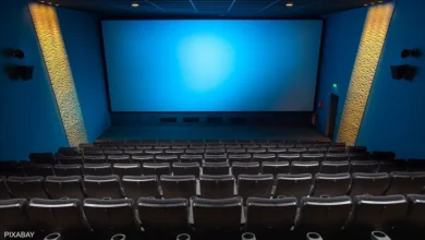 فوز-فئة-المنشآت-الصغيرة-بانتخابات-غرفة-صناعة-السينما