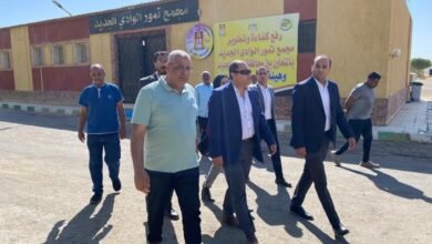 “تنمية-الصعيد”:-نعمل-على-تعظيم-القيمة-المضافة-للموارد-المحلية-ودعم-الصناعات-التحويلية