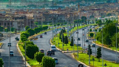 الموافقة-على-إنشاء-منطقة-استثمارية-في-“الشيخ-زايد”