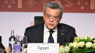 رئيس-“الإنتوساي”-يعرض-الرؤية-المصرية-لقيادة-مرحلة-جديدة-من-العمل-الرقابي-الدولي