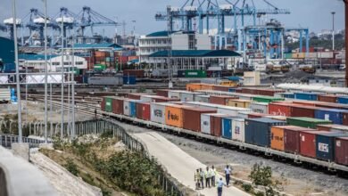 جمعية-خبراء-الضرائب:-المناطق-الحرة-أحد-أهم-أدوات-تحقيق-رؤية-مصر-2030