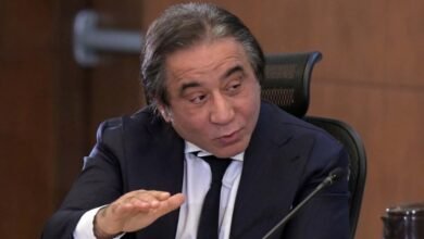 أحمد-عز:-10-آلاف-موظف-شاركوا-في-إنشاء-المتحف-المصري-الكبير