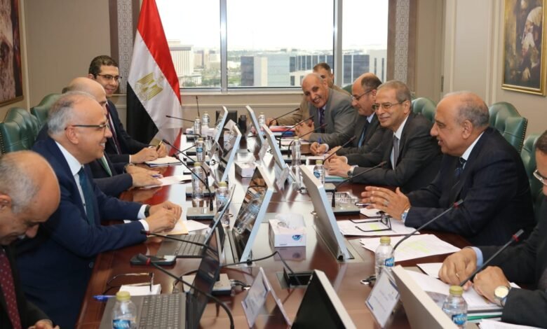 الحكومة-تبحث-تعظيم-عوائد-المحطات-الكهرومائية-واستغلال-الأصول-بنطاق-السد-العالي