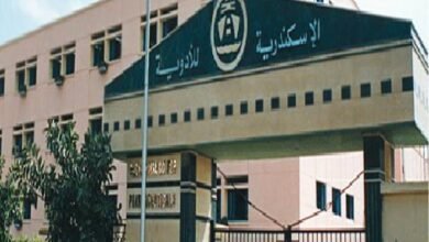 اليوم-نهاية-حق-توزيع-62.95-جنيه-لسهم-“الإسكندرية-للأدوية”