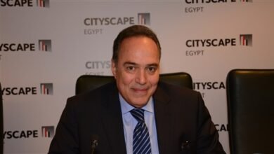 فوزي:-854-مليون-دولار-الاستثمارات-اللبنانية-في-مصر-حتى-فبراير-2025