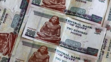 214-تريليون-جنيه-تسويات-لحظية-بين-البنوك-في-10-أشهر