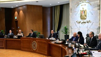 مجلس-الوزراء-يوافق-على-طرح-رخصتين-لإقامة-مشروعات-لإنتاج-الأسمنت