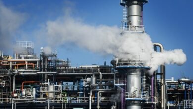 -نمواً-فى-الإيرادات-التشغيلية-لشركات-قطاع-الأعمال-العام