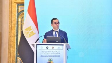 الاستثمارات-الخليجية-في-مصر-تسجل-نحو-41-مليار-دولار-بـ2023-2024