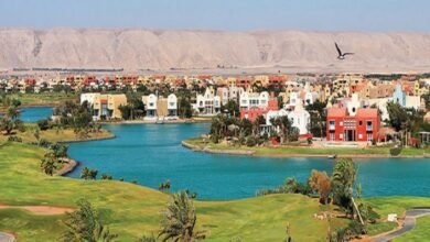 “أوراسكوم-للتنمية”-تربح-38-مليار-جنيه-خلال-9-أشهر-بنمو-70.4%