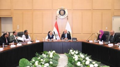 “الوزير”:-فرص-مصرية-متميزة-أمام-الشركات-الهندية-في-تصنيع-الأسمدة-والكيماويات