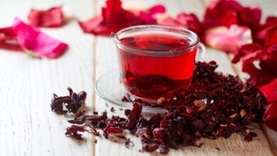 «الخشاب-لتجارة-الأعشاب»-تشغل-خط-الكركديه-فى-مصنع-الفيوم