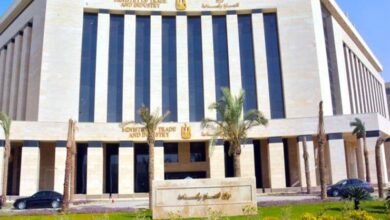 الصناعة:-مهلة-6-أشهر-للمشروعات-المنفذة-لأكثر-من-50%-من-الإنشاءات