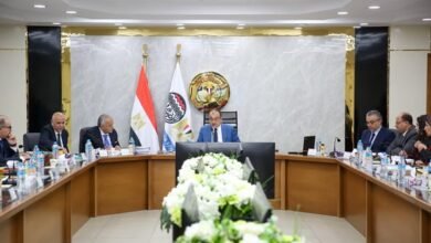 4.7-مليار-جنيه-صافي-ربح-“القابضة-للسياحة-والفنادق”-خلال-2024-2025