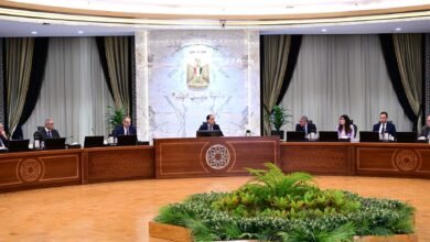 رئيس-الوزراء:-تجهيز-المطارات-لاستقبال-السياح-عبر-التأشيرتين-الإلكترونية-والاضطرارية