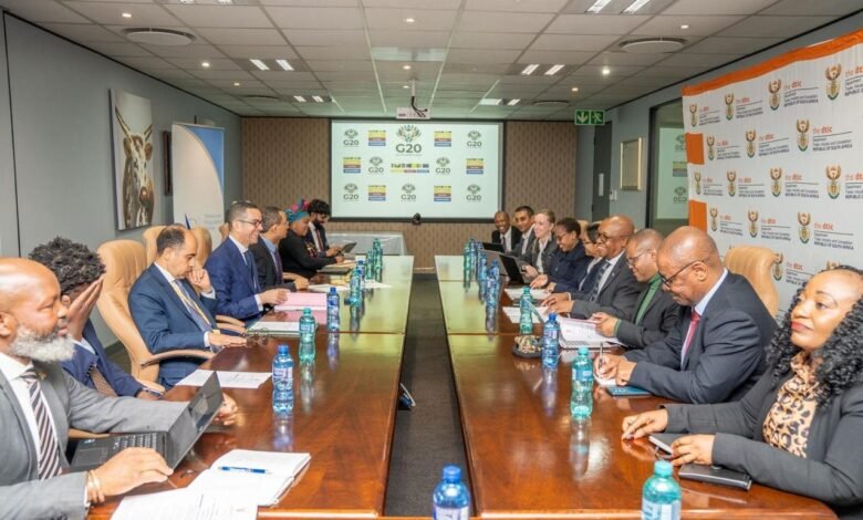 مصر-وجنوب-أفريقيا-تبحثان-تعزيز-العلاقات-الاقتصادية