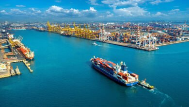 تطبيق-نظام-«نافذة»-على-الصادرات-يثير-مخاوف-منظمات-الأعمال