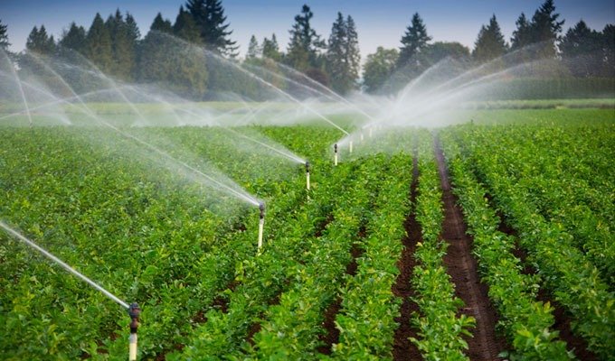 «إيسكو-أفريقيا»:-نستهدف-20%-نموًا-فى-مبيعات-أجهزة-الرى-المحورى-العام-المقبل