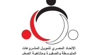 “إتحاد-التمويل-متناهى-الصغر”:-الرقمنة-ضرورة-لبناء-قطاع-مالي-أكثر-كفاءة-وعدالة