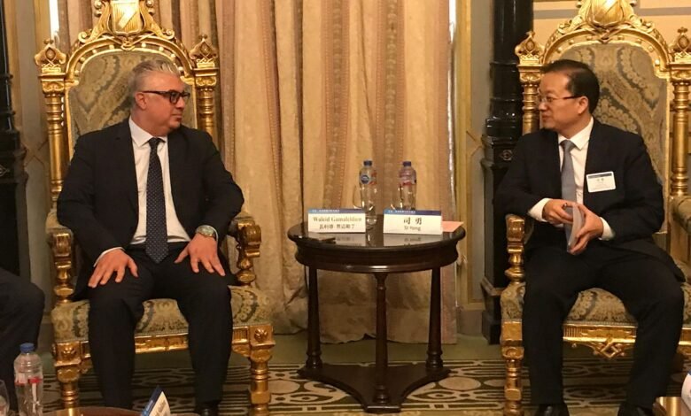 “اقتصادية-القناة”-تجذب-استثمارات-بنحو-12-مليار-دولار-في-42-شهرًا.-نصفها-صينية